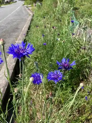 大師堂(兵庫県)
