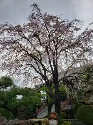 最勝寺(東京都)