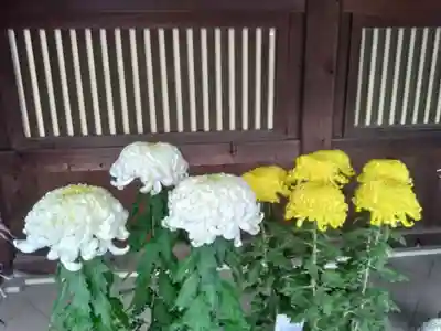 寒川神社(神奈川県)