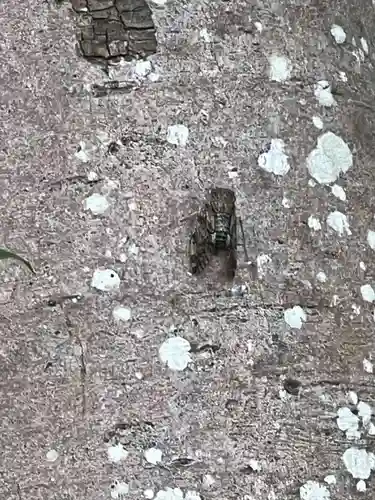 岩井八坂神社(茨城県)