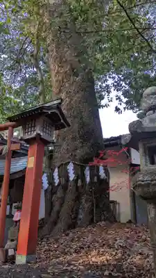 彌伽宜神社(京都府)