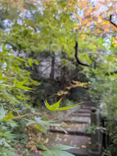 赤坂氷川神社(東京都)