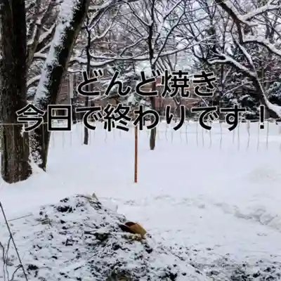 彌彦神社　(伊夜日子神社)(北海道)