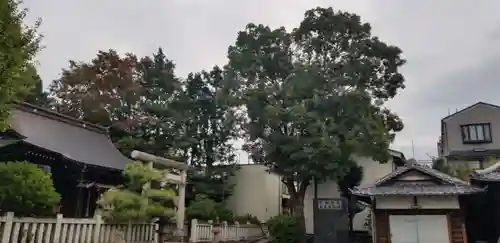 天祖神社のその他建物