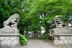 神炊館神社 ⁂奥州須賀川総鎮守⁂の狛犬