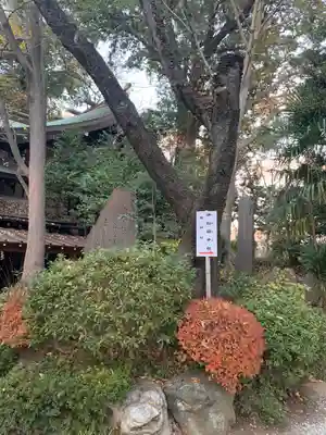 座間神社のその他建物