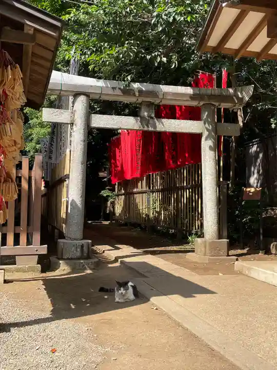 代々木八幡宮の動物