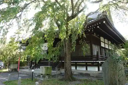 妙満寺の本殿・本堂