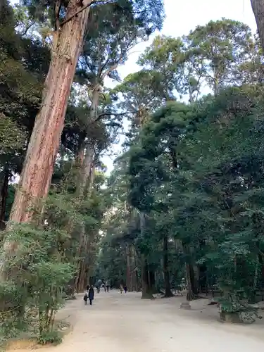 鹿島神宮の自然