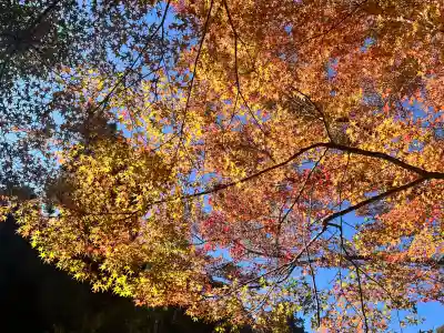 白山神社(滋賀県)