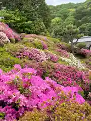 朝日寺(岡山県)