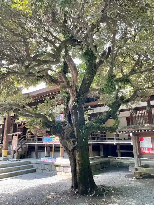 平塚八幡宮の自然