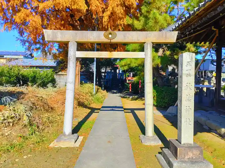 白鬚神社(上中町一色)の鳥居