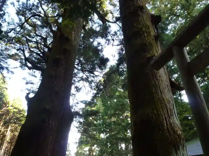 福王神社の自然