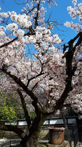上野東照宮の自然