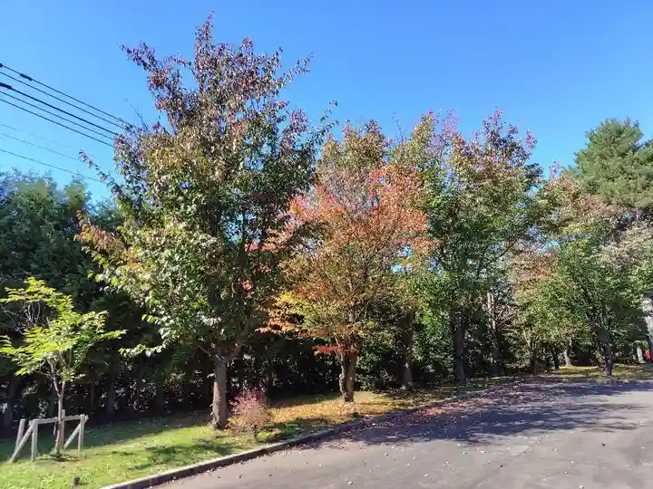美瑛神社の自然