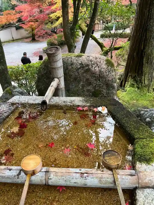 今熊野観音寺(京都府)