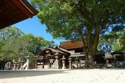 藤森神社の本殿・本堂