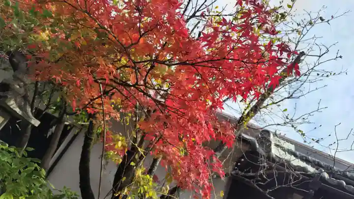 賀茂波爾神社(賀茂御祖神社境外摂社)(京都府)