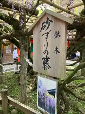 春日大社(奈良県)