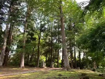 前玉神社の自然