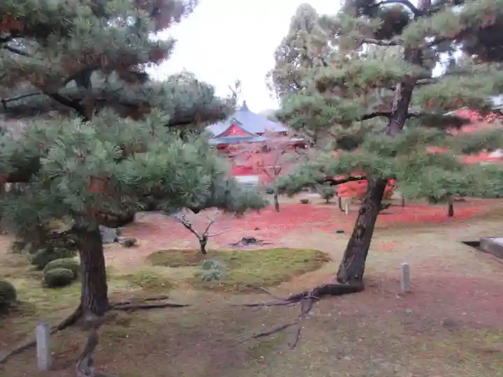 大覚寺(京都府)