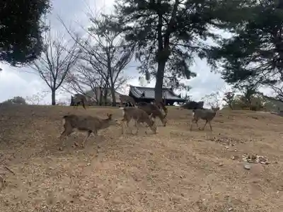 東大寺戒壇院戒壇堂(奈良県)