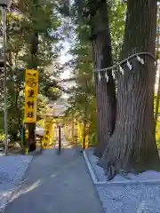 聖神社(埼玉県)