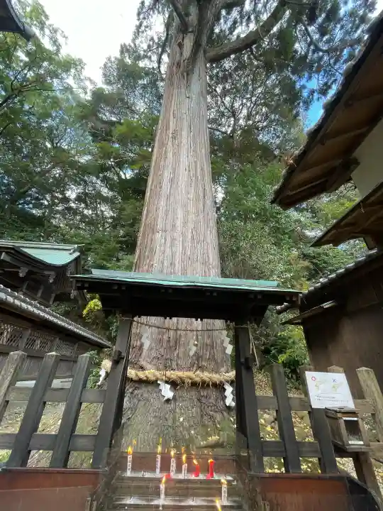 事任八幡宮(静岡県)