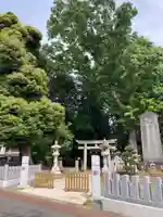 鹿島神社の鳥居