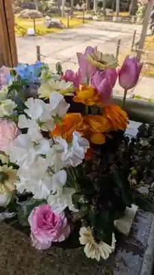 勝林寺(京都府)