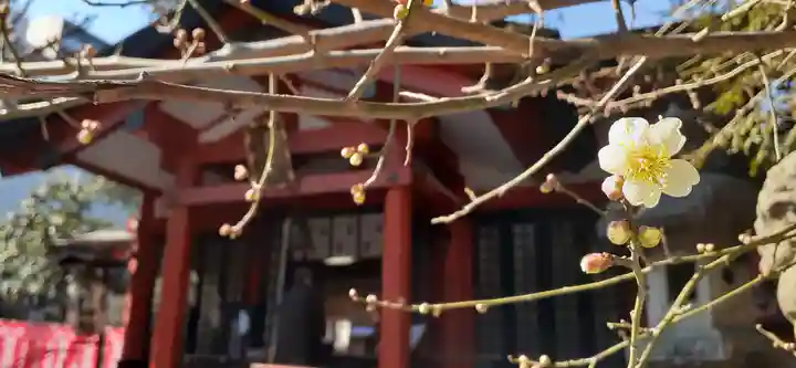 くまくま神社(導きの社 熊野町熊野神社)のその他建物