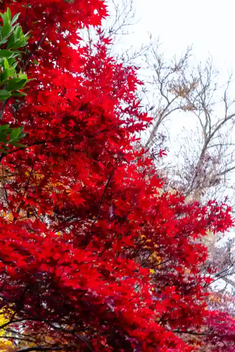 梨木神社(京都府)