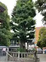 大鳥神社の自然