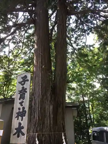 新倉富士浅間神社の自然