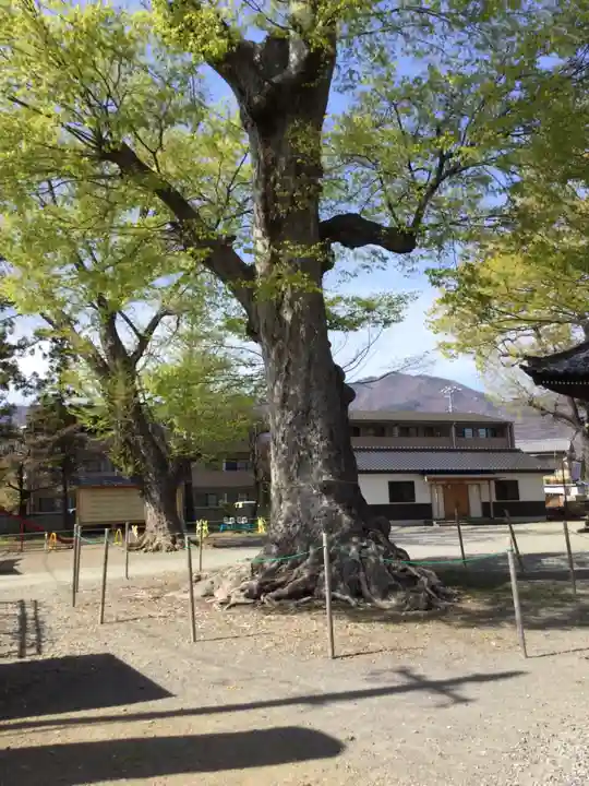 科野大宮社(長野県)