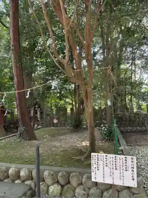 鎌田神明宮(静岡県)