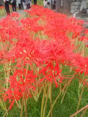 横浜　西方寺(神奈川県)