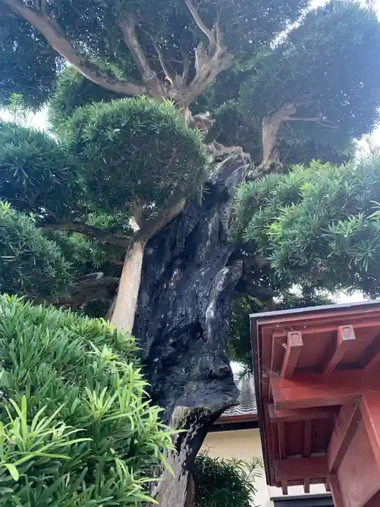 文殊院(千葉県)