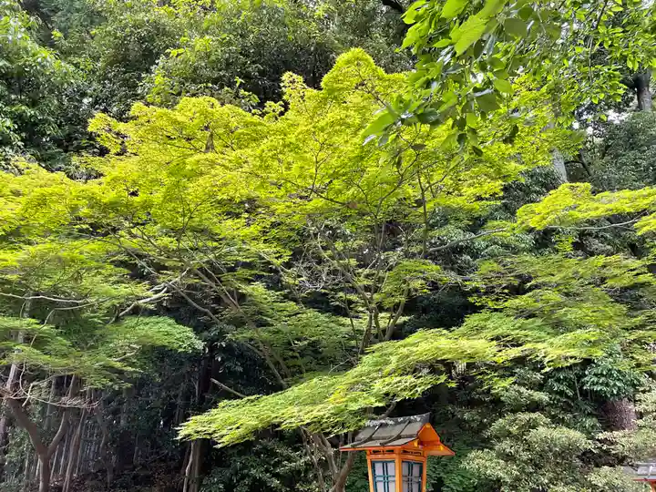 賣布神社の自然