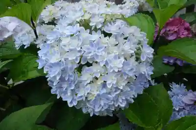十日恵比須神社(福岡県)