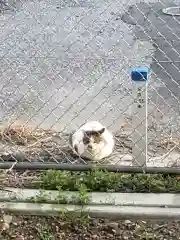 率土神社の動物