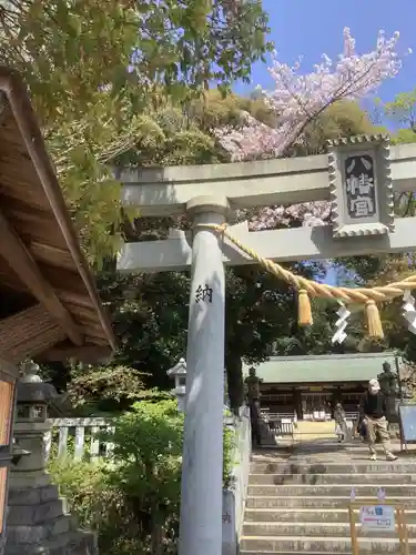 上地八幡宮の鳥居