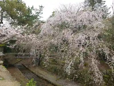 厳島神社(広島県)