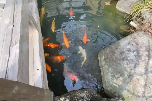 繁多寺の{uncategorized: "未分類", other: "その他", undefined: "問題あり", building: "その他建物", grave: "お墓", sacred_gate: "鳥居", guardian: "狛犬", statue: "像", buddha: "仏像", history: "歴史", nature: "自然", garden: "庭園", animal: "動物", pagoda: "塔", temizu: "手水舎", mountain_gate: "山門・神門", sanctuary: "本殿・本堂", subordinate: "末社・摂社", art: "芸術", scenery: "景色", jizo: "地蔵", ema: "絵馬", goshuin: "御朱印", omikuji: "おみくじ", items: "授与品その他", amulet: "お守り", goshuincho: "御朱印帳", eats: "食事", festival: "お祭り", votive_dance: "神楽", shichigosan: "七五三参", wedding: "結婚式", experience: "体験その他", initially: "初詣", around: "周辺", anti_infection: "感染症対策"}