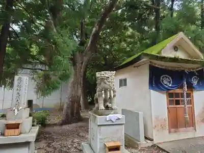 宇佐八幡神社(徳島県)