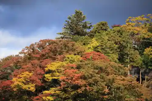 阿久津「田村神社」（郡山市阿久津町）旧社名：伊豆箱根三嶋三社(福島県)
