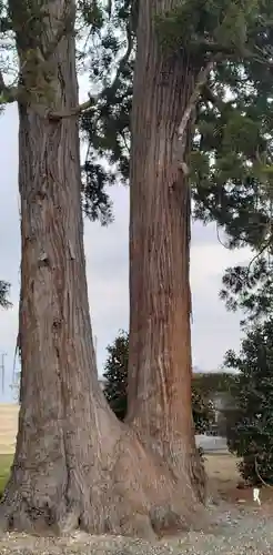 十二宮神社(宮城県)