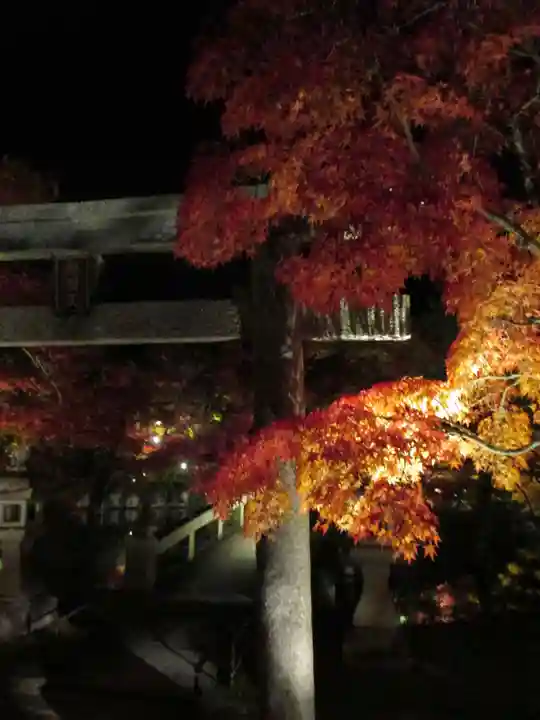 禅林寺(永観堂)の自然