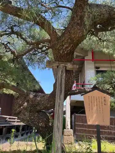 龍泉寺（足利厄除大師）(栃木県)